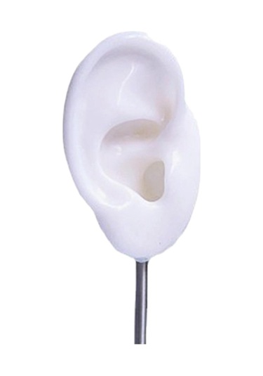 Homyl Küpe Ekran Standları Kulak Şekilli Damızlık Tutucu Beyaz