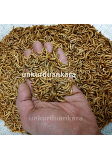 Un Kurdu 100 Gram