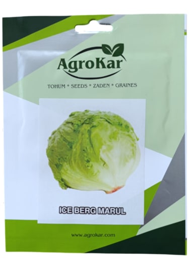 Iceberg Marul Tohumu 2 Gr 1 Paket