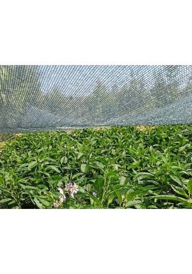 Morilu Bahçe Örtüsü - Yüzde 40Lık - Yeşil - Şeritli Halkalı