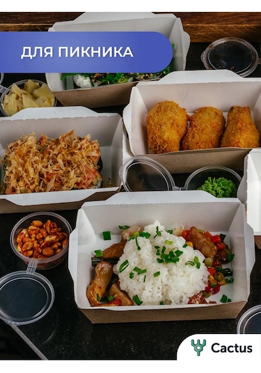 Cactus Kapaklı Tek Kullanımlık Yemek Kabı 500 Ml 391854527 100 adet