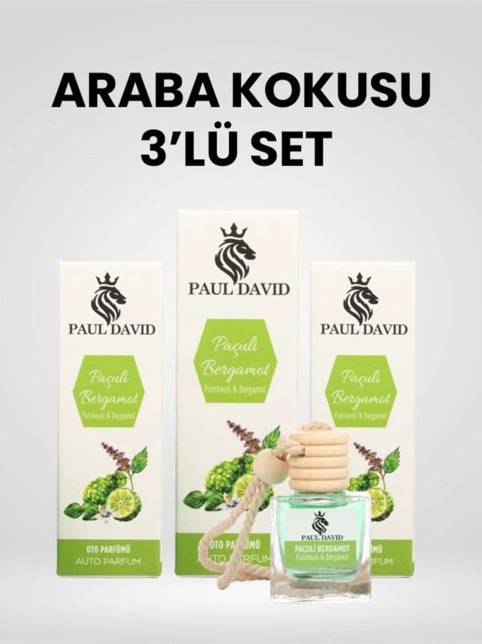 Dekoratif Araç Oto Kokusu 3 Lü Set Paçuli & Bergamot