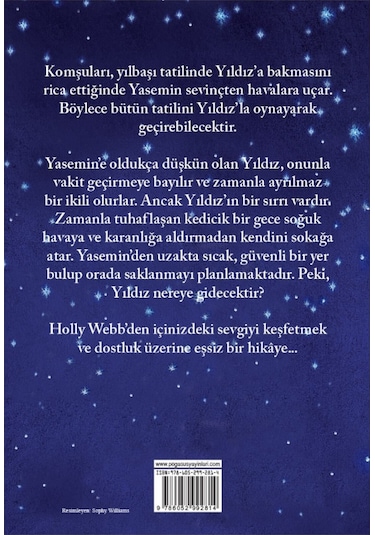 Kayıp Kedicik Yıldız
