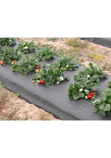 Malç Naylonu Çilek Naylonu En 130 CM Boy 100 M Malç Örtüsü