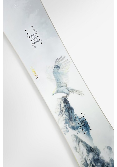 Capita Birds Of A Feather 2026 Çok Renkli