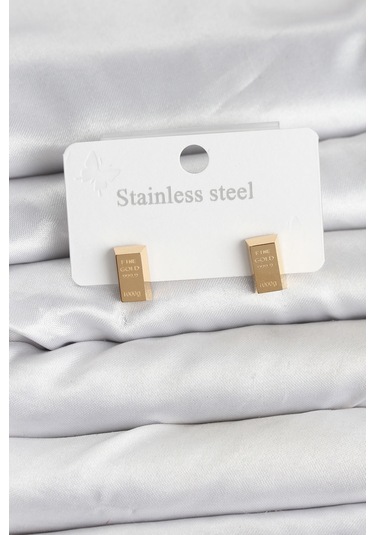 Zarif Kulaklar İçin Golden Çelik Külçe Model Kadın Küpe Gri