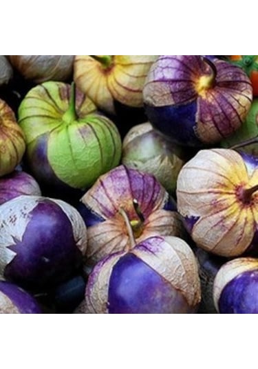 Mor Çilek Tohumu 5 Tohum