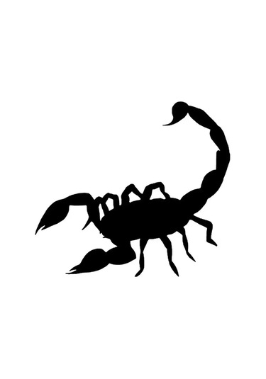 Akrep Sticker 30 X 27 Cm Mixgiftz