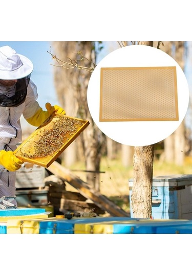 Pazly Suntek Kraliçe Arı Dışlayıcı Çerçeve, 8'li Çerçeve Seti