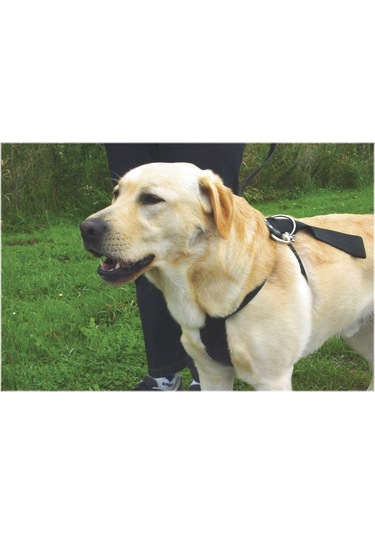 Beeztees Köpek Araç İçi Göğüs Tasması, Siyah, 40-65cm Göğüs Çapı, 15mm Siyah