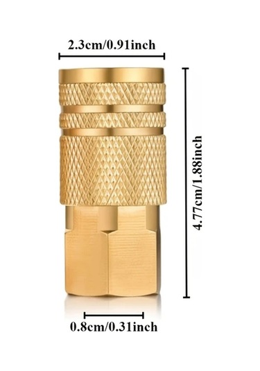 Dashanshop 1/4 Npt Endustriyel Hava Koppuru Bayan Baslik Hizli Baglanti 5li Set