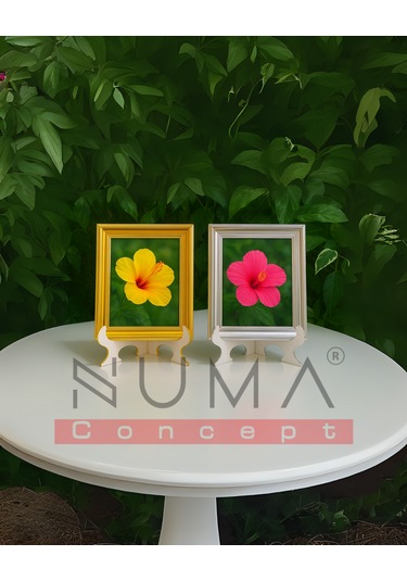 Ahşap Beyaz Çerçeve Ayaklığı Her Biri 22x15 Cm Geçmeli Stand