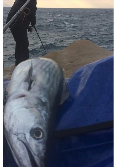 S.f. Jig Sardin2 20gr - Sahte Yem Kaşık Rapala -levrek, Palamut,