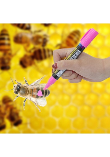 Sones Kraliçe Arı Marker Kalem Arı Özel Marker Kalem Arı Vurgulayıcıya Zarar Vermez, Rastgele Renk Dağıtımı