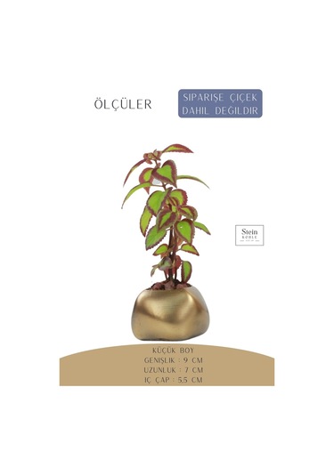 Çiçek Saksısı Dekoratif Kaktüs Saksı 1 Adet Spiral Oval Model - Altın Eskitme