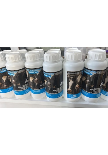 Fınısh Şap Şapa Son 600 Ml