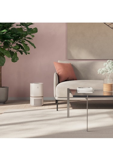 Electrolux E PO50351SW Hava Temizleme Cihazı