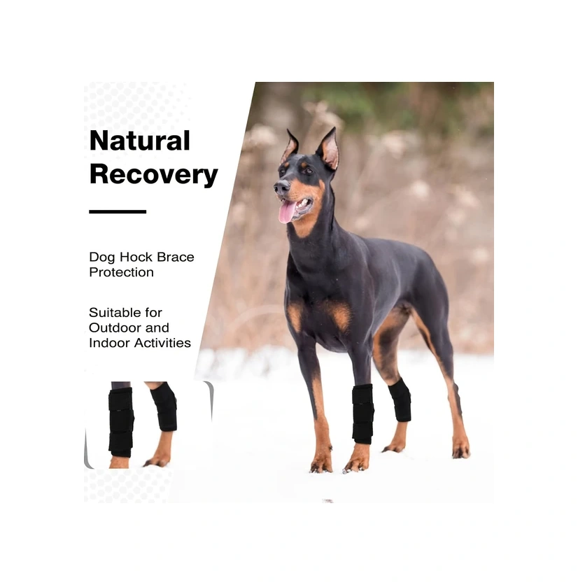 Gateesat Siyah 2li Orta Boy Köpek Dizlik Seti - Yaralanma Burkulma Koruma