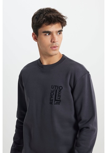 Regular Fit Normal Kesim Bisiklet Yaka İçi Polarlı Antrasit Sweatshirt Faded Black-l24216633w