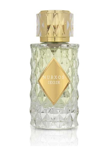 Nurxos 9765 Iegir EDP Kadın Parfümü 8681124697653 65 ML