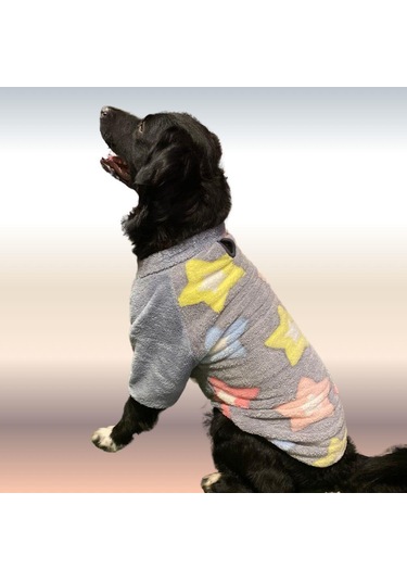 Gedyco Stars Premium Peluş Orta Irk Köpek Sweatshirtü