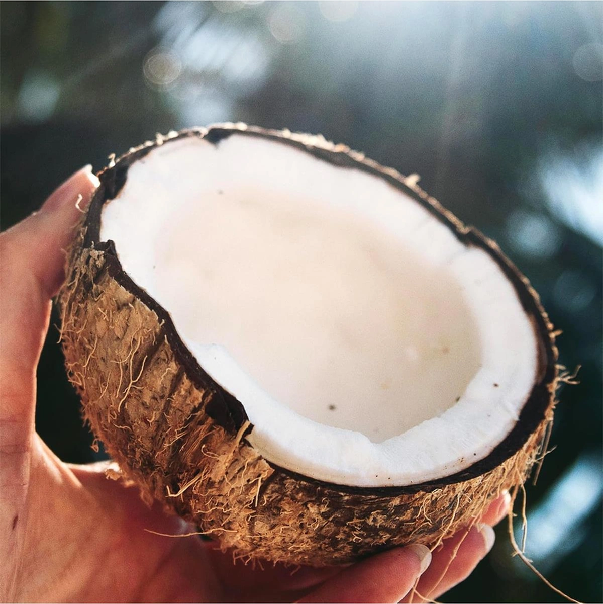 Herbal Essences Coconut Water Nemlendirici Şampuan 865ml Tüm Saç Tipleri