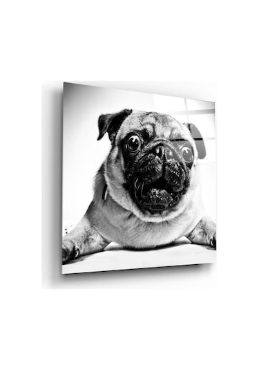 Pug Köpek Cam Tablo No:1043 Hediyelik, Dekoratif, Ofis, Mutfak
