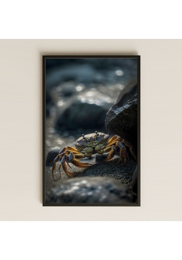 Kayalıkta Yürüyen Yengeç Temalı Realistik Pleksi Tablo