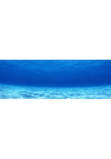 Kanki Pet  Akvaryum Arka Fon Yapıştırma  185x65 cm KP18565003