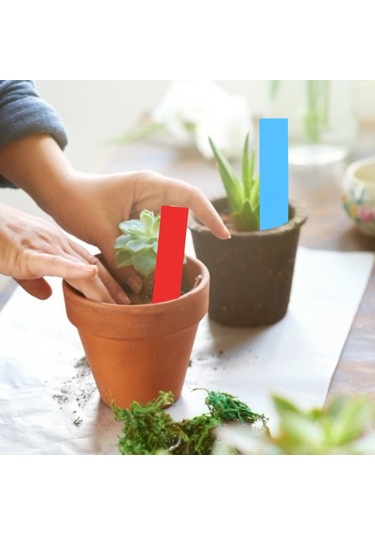 Xiyyadms Pvc Su Geçirmez Bitki Etiketleri, Çift Kullanımlı Toprağa Takma Ve Asma , Yazılabilir, 100 Adet Mavi+kırmızı