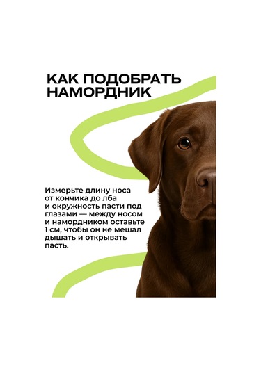 Pet Orta Boy Köpekler İçin Silikon Siyah Ağız Koruyucusu 169765231