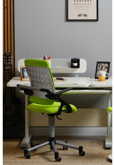 Creo Mobili Yükseklik Ve Sırt Ayarlı Vega Çalışma Sandalyesi, Ofis Ve Bilgisayar Koltuğu Yeşil/yeşil Gri