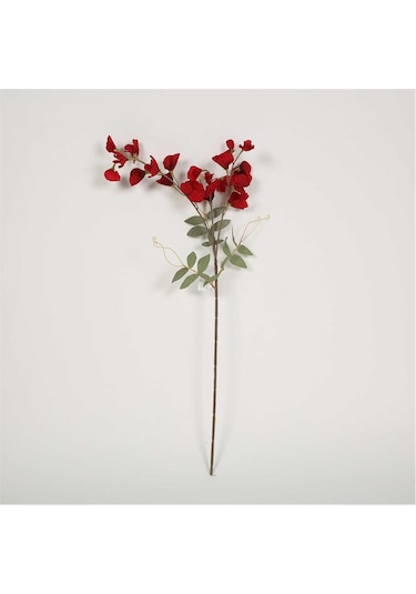 Vitale Bezelye Çiçeği Red Bezay Çiçek 25 76 8 Cm