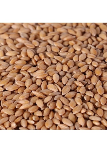 Kappadokia Katkısız, Atalık Siyez Unu 5 Kg