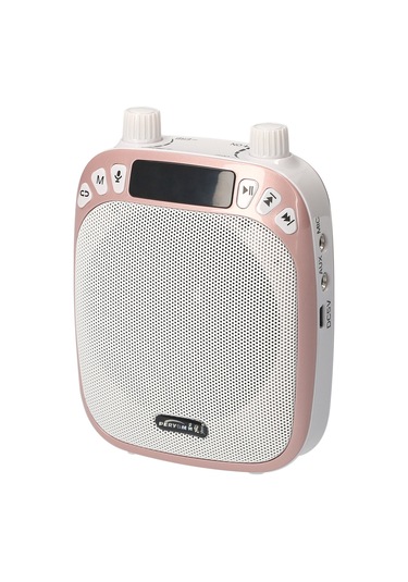 Teltree Gül Altın Ses Güçlendirici: Öğretim/tur Rehberi İçin, Bluetooth/mikrofon/tf Kart/disk/dikta Fonksiyonlu, Bel Taşıma Seti