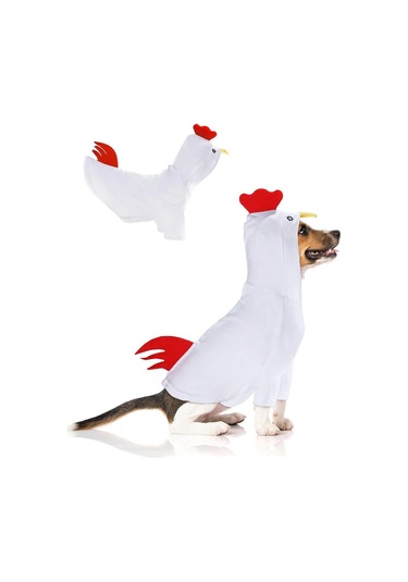 Küçük Orta Boy Evcil Hayvanlar İçin Köpek Cadılar Bayramı Tavuk K