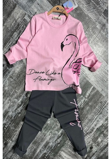 Flamingo Desenli Pembe Renk Kız Çocuk Mevsimlik Taytlı Takım Pembe