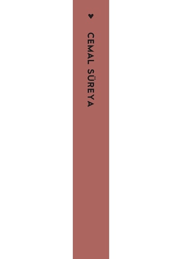 Cemal Süreya / Şairin Hayatı Şiire Dahil - Can Yayınları