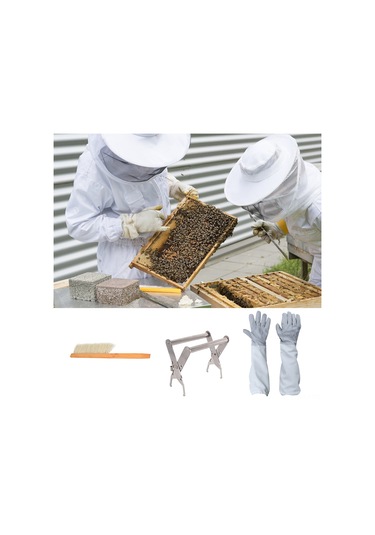 Geeksen Arı Çiftliği 4'lü Takım: Yarı Vücut Arı Giysi, Koruyucu Eldiven, Çerçeve Tutucu Ve Arı Fırçası - Yeni Başlayanlar İçin Tam Zirve Seti Beyaz