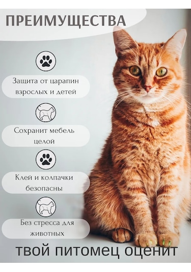 E.lekar' Kediler İçin Tırnak Kaplama 40 Adet Xs Anti Tırmalama Kaplaması 261036584