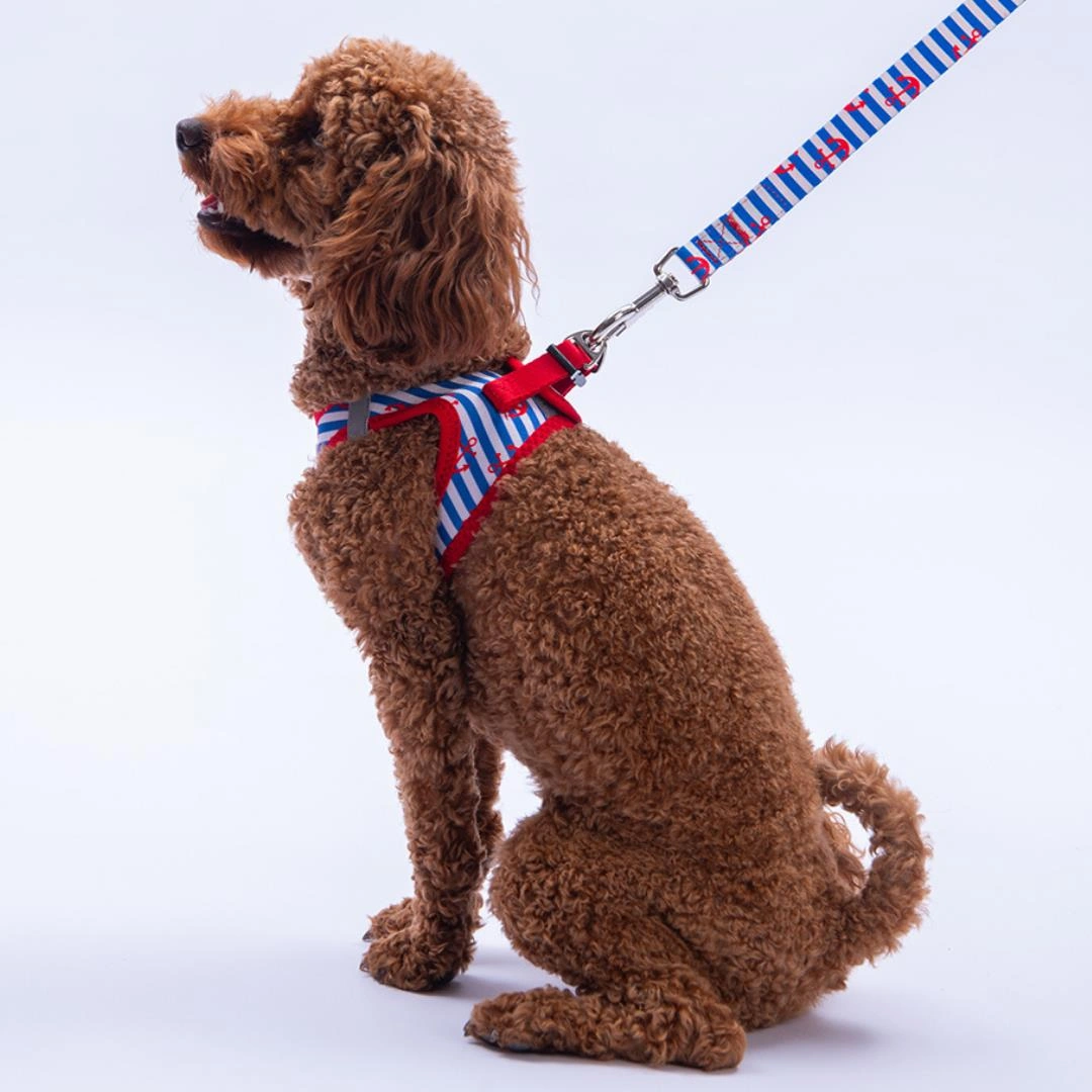 Sailor Mates Göğüs Tasması Ve Sevk Kayışı Tasma Seti Çapa Kedi Köpek Göğüs Tasması Seti Kırmızı