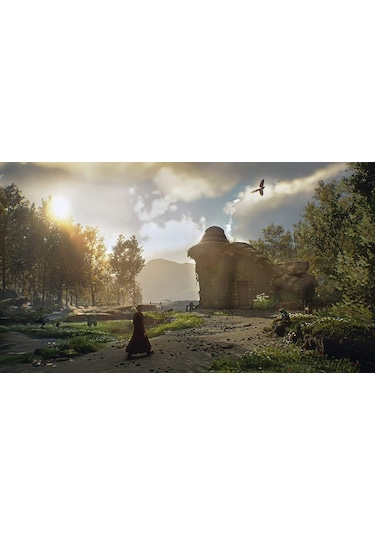 Hogwarts Legacy Ps5 Oyun Cd Teshir