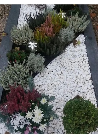 Ahs Beyaz Dolomit Taş 25 Kg 4-6 Cm Dere Çakıl Taşı Bahçe Peyzaj Süs Taşı Saksı Teraryum Akvaryum Taşı