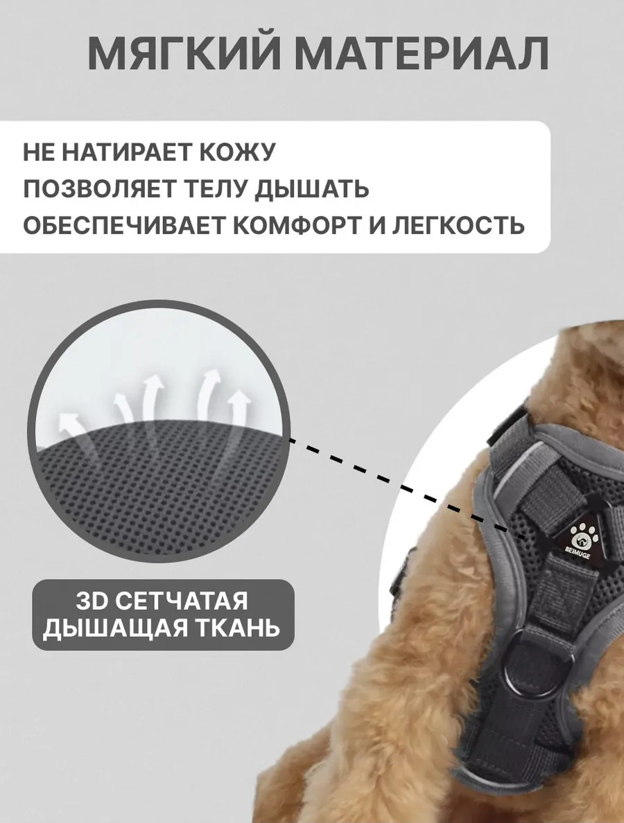 Tori Küçük Ve Orta Irklar İçin Tasmalı Köpek Kayışı Ve Kedi Şeridi 417711600