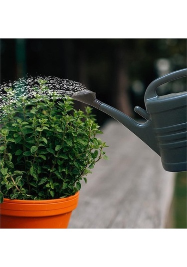 Pazly Uzun Tesisi Suntek Sulama Koyu-yeşil-5l Için Ağız Açık Hk