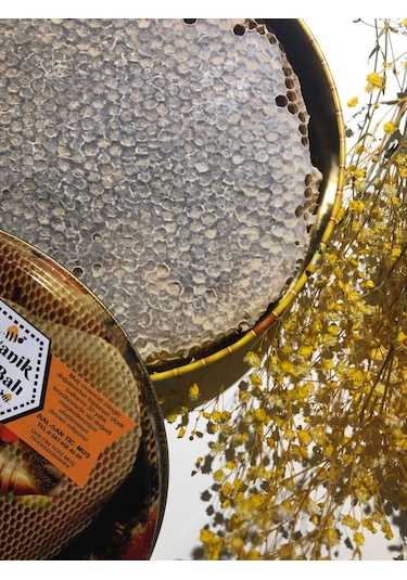 Balsan Organik Karakovan Petek Balı 2.5 KG