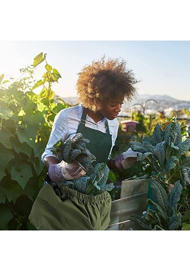 Pazly Bahçecilik Önlük Meyve Toplama Torbası, Ayarlanabilir Kemer, Hızlı Serbest Bırakma Tokası, Kapasiteli, Uygun