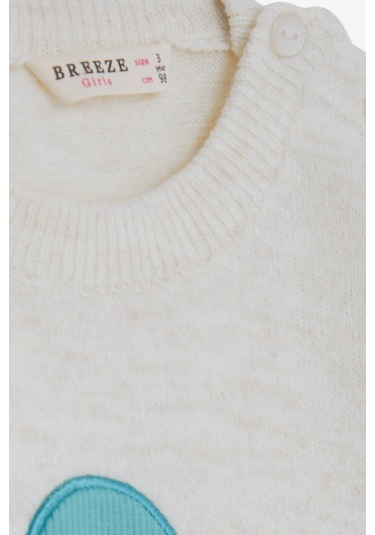 Breeze Kız Çocuk Triko Kazak Pullu Nakışlı Kız Baskılı 1.5-5 Yaş, Ekru