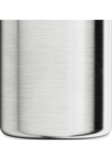Urban Bottle Brushed Steel Paslanmaz Çelik Su Şişesi 250 Ml Metal