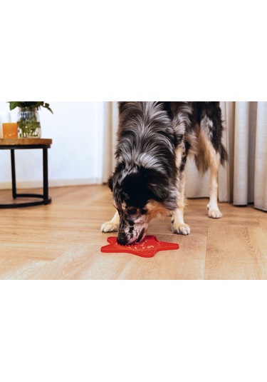 Beeztees Yavru Köpek Yaş Mama Yeme Oyuncağı, Yıldız Şeklinde, Silikon, Kırmızı, 20x20cm